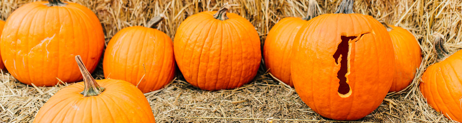 Halloween Printables