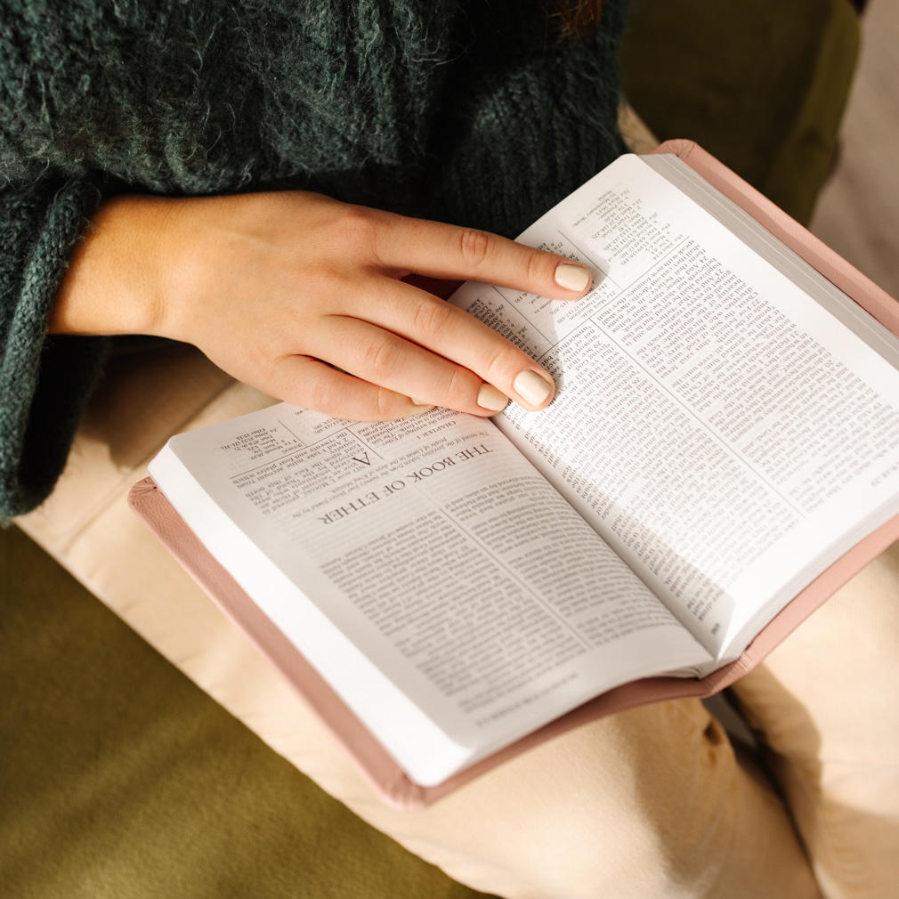 Hand-Bound Genuine Leather Book of Mormon - Blush Pink - LDP-HB-BOM-BPK