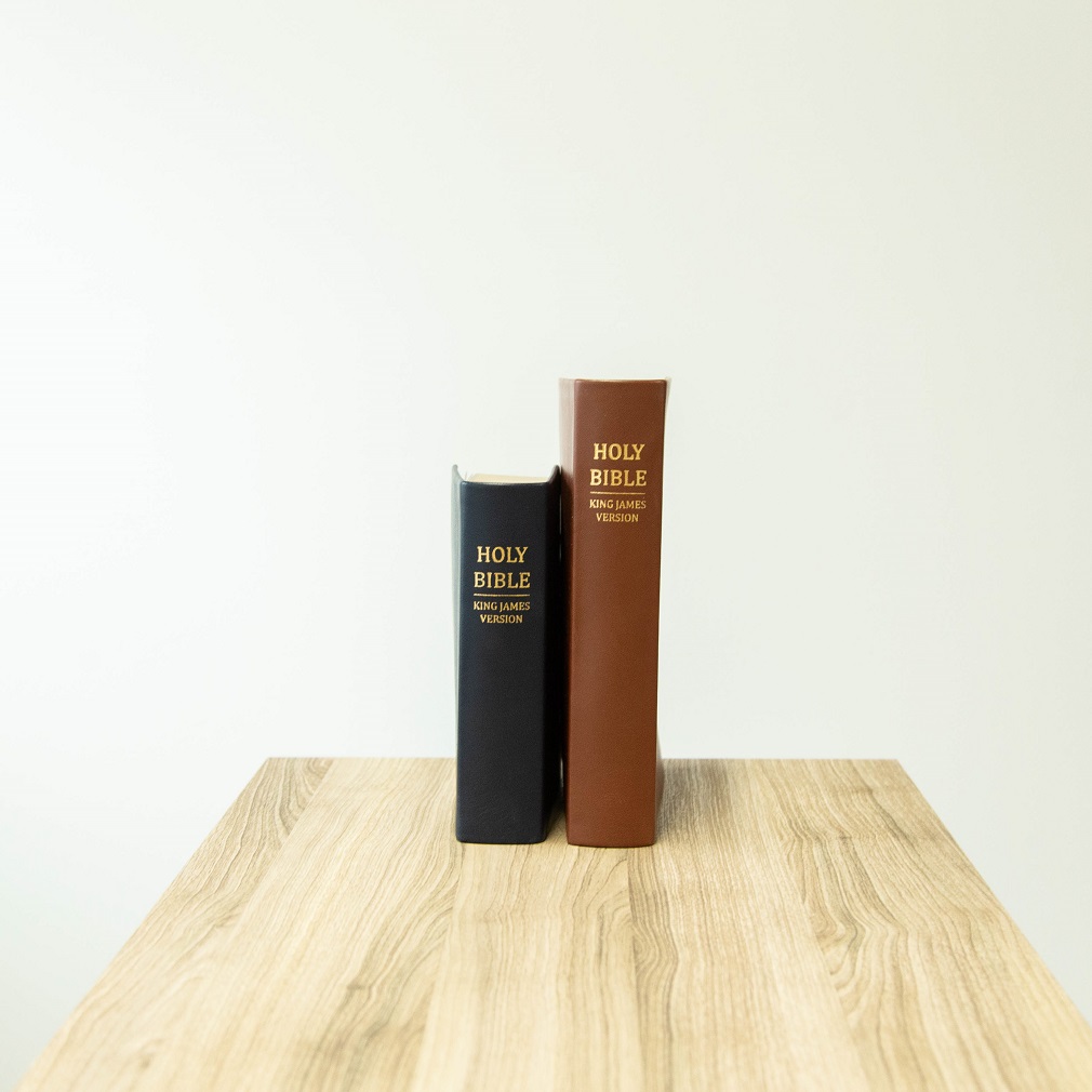 Large Hand-Bound Genuine Leather Triple - Rustic Brown - LDP-HB-LT-RBR