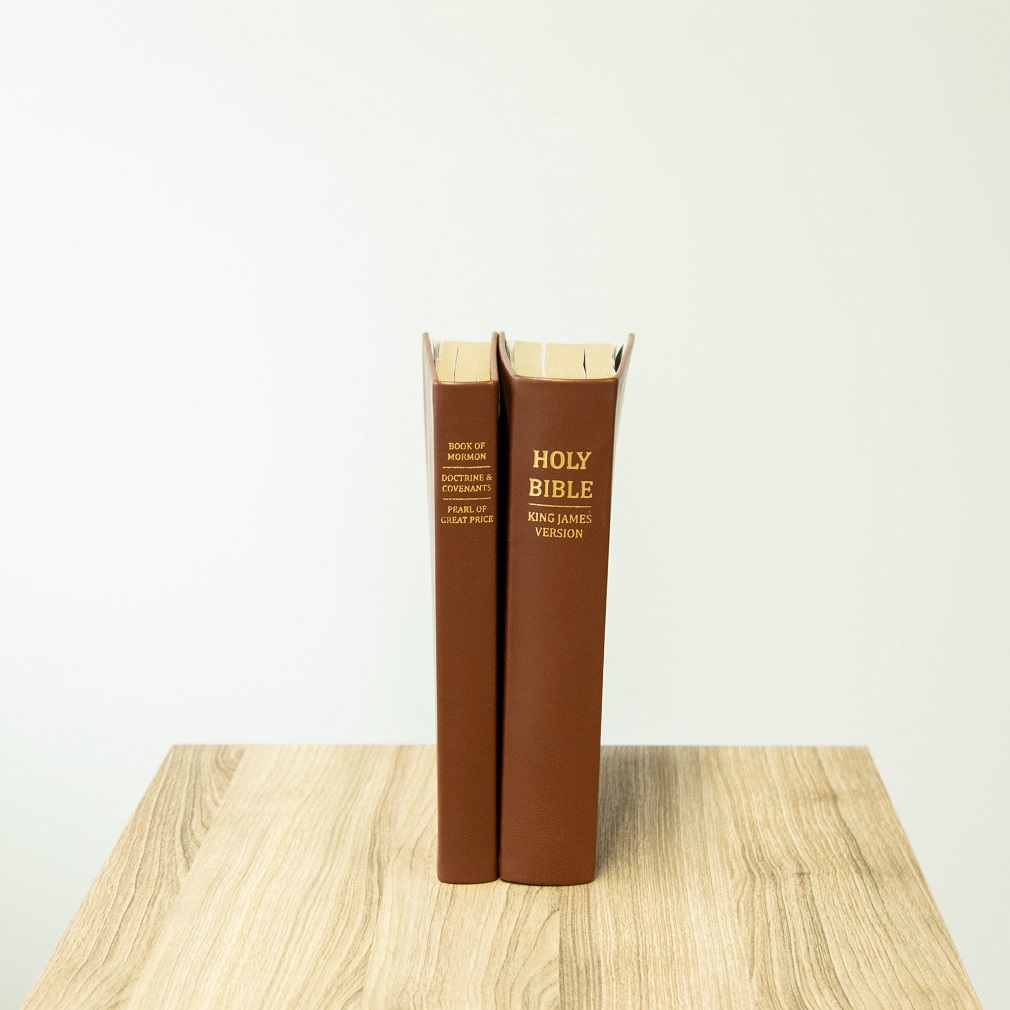 Large Hand-Bound Genuine Leather Triple - Rustic Brown - LDP-HB-LT-RBR