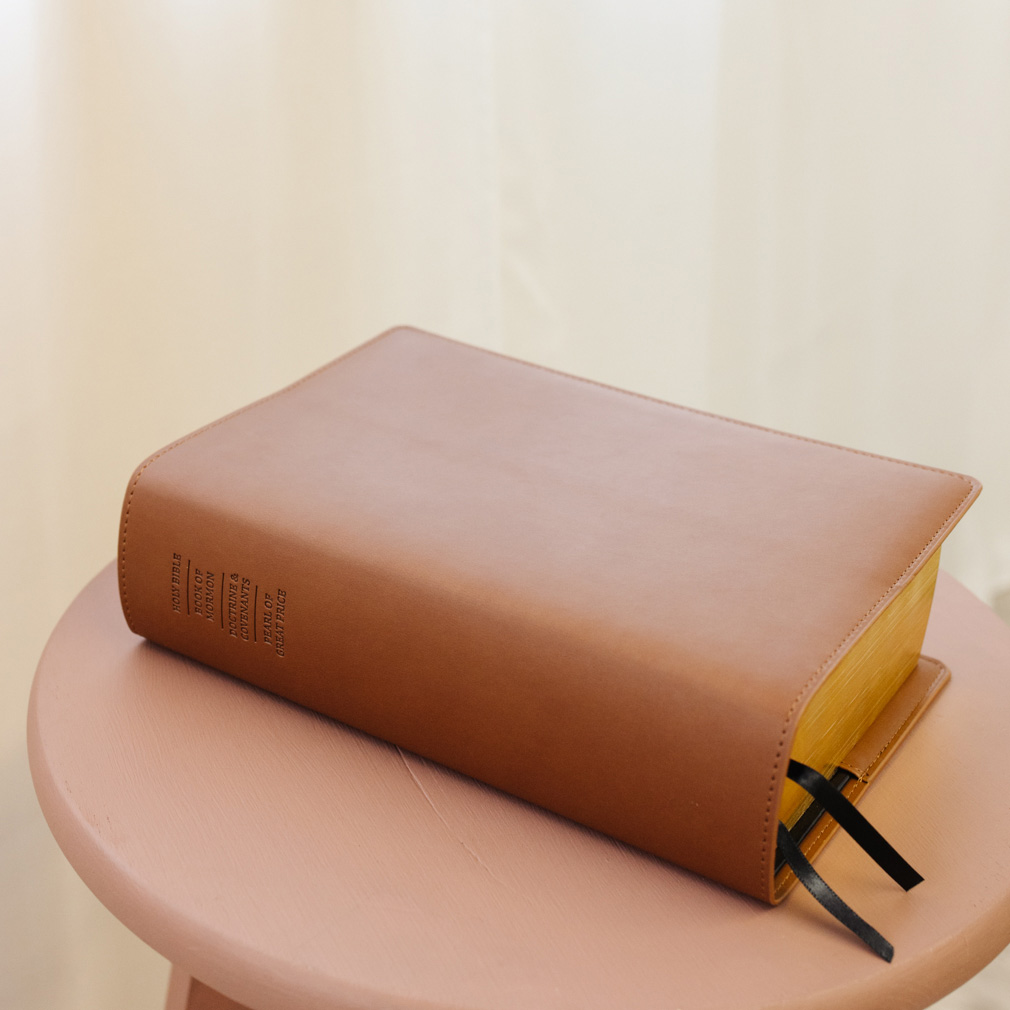 Large Quad Slip Cover - Brown - LDP-CV-LQ-BRWN