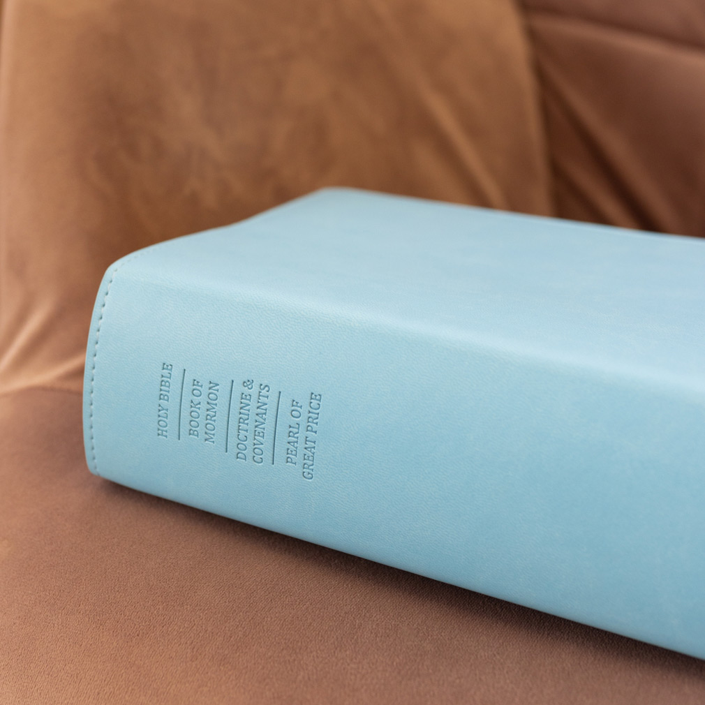 Large Quad Slip Cover - Light Blue - LDP-CV-LQ-LBLU