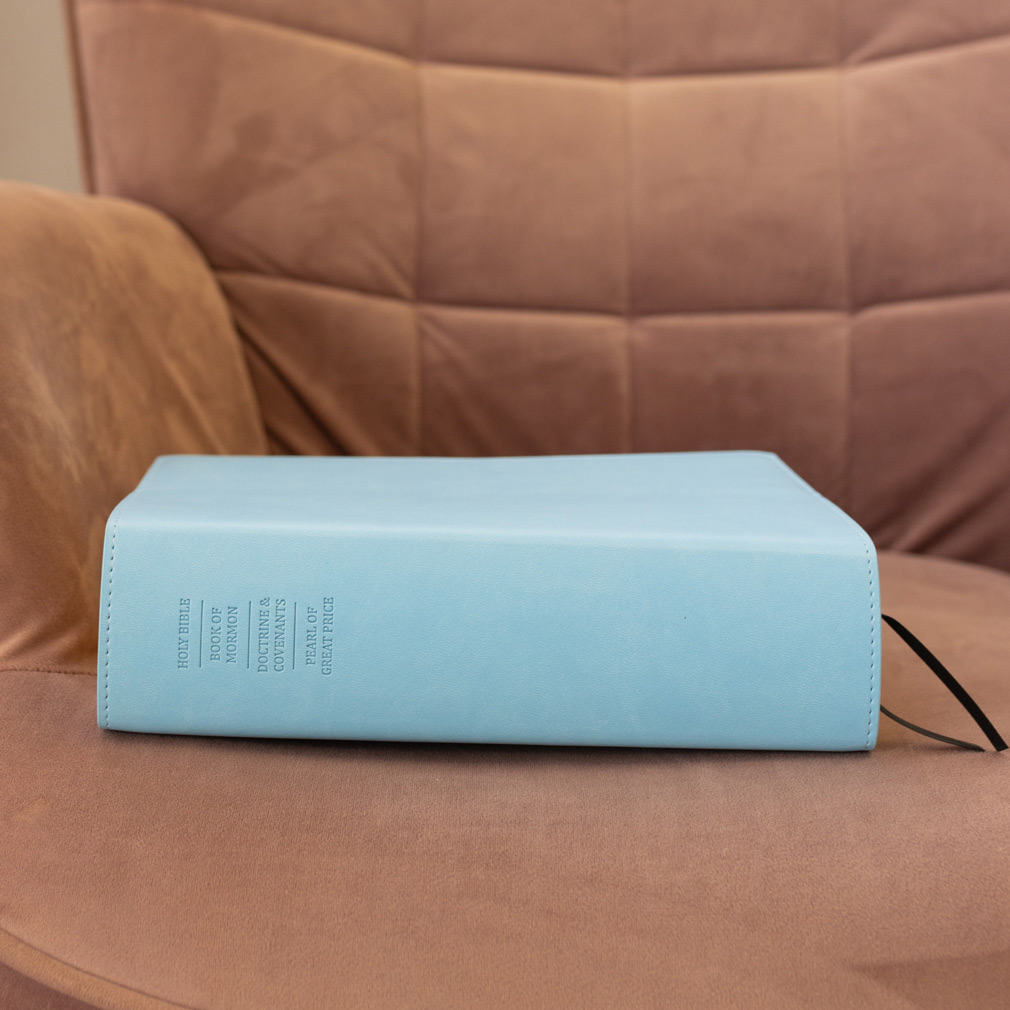 Large Quad Slip Cover - Light Blue - LDP-CV-LQ-LBLU