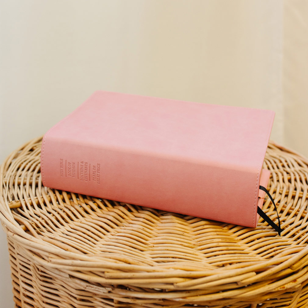 Large Quad Slip Cover - Pink - LDP-CV-LQ-PNK