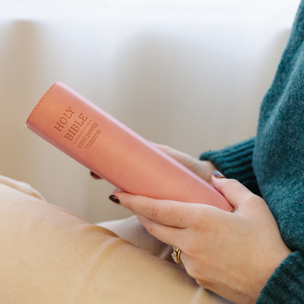 Bible Slip Cover - Pink - LDP-CV-RB-PNK