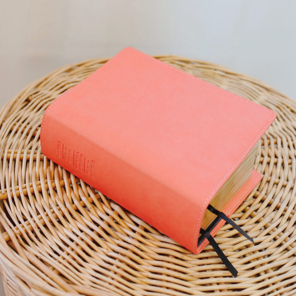 Quad Slip Cover - Coral - LDP-CV-RQ-CRL