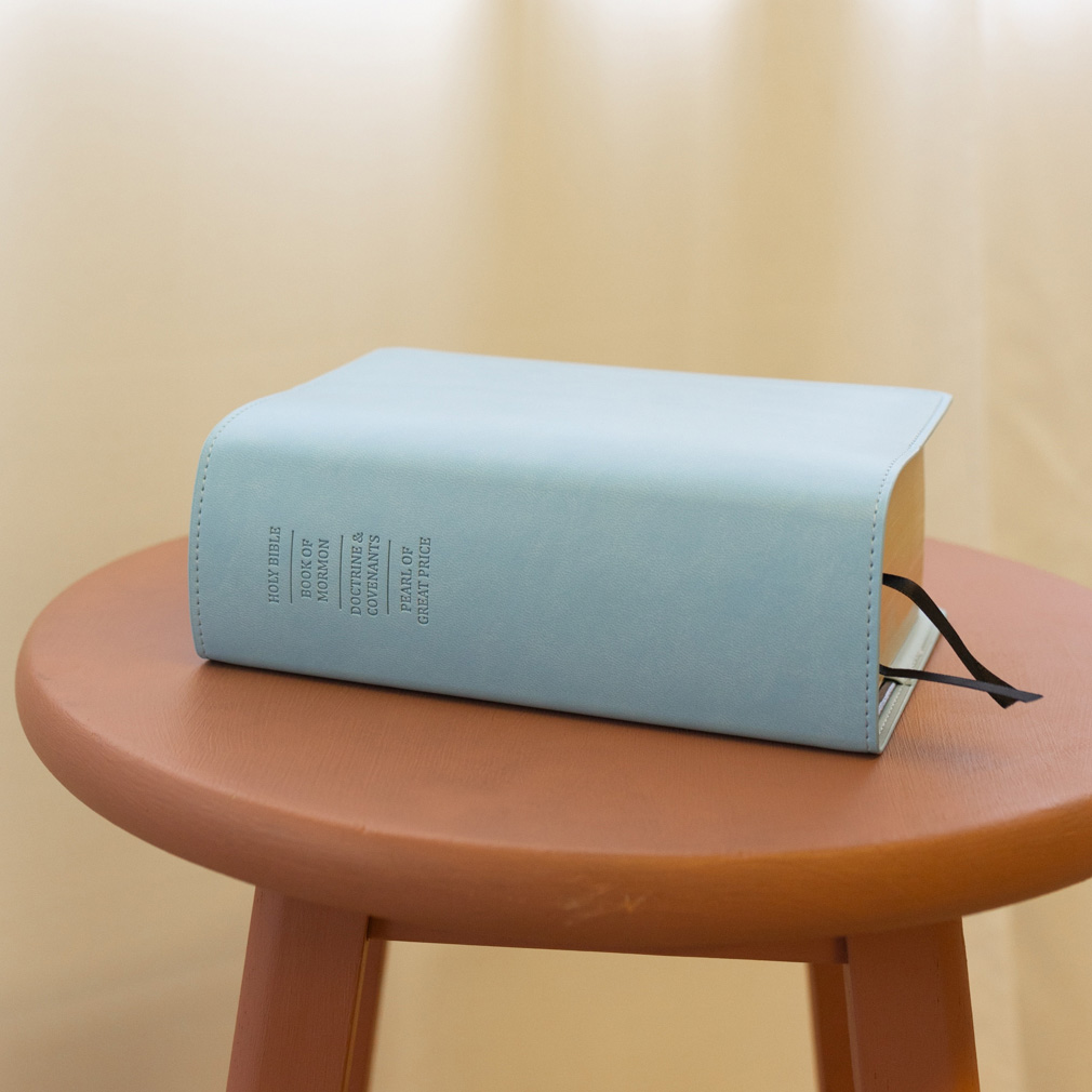 Quad Slip Cover - Light Blue - LDP-CV-RQ-LBLU