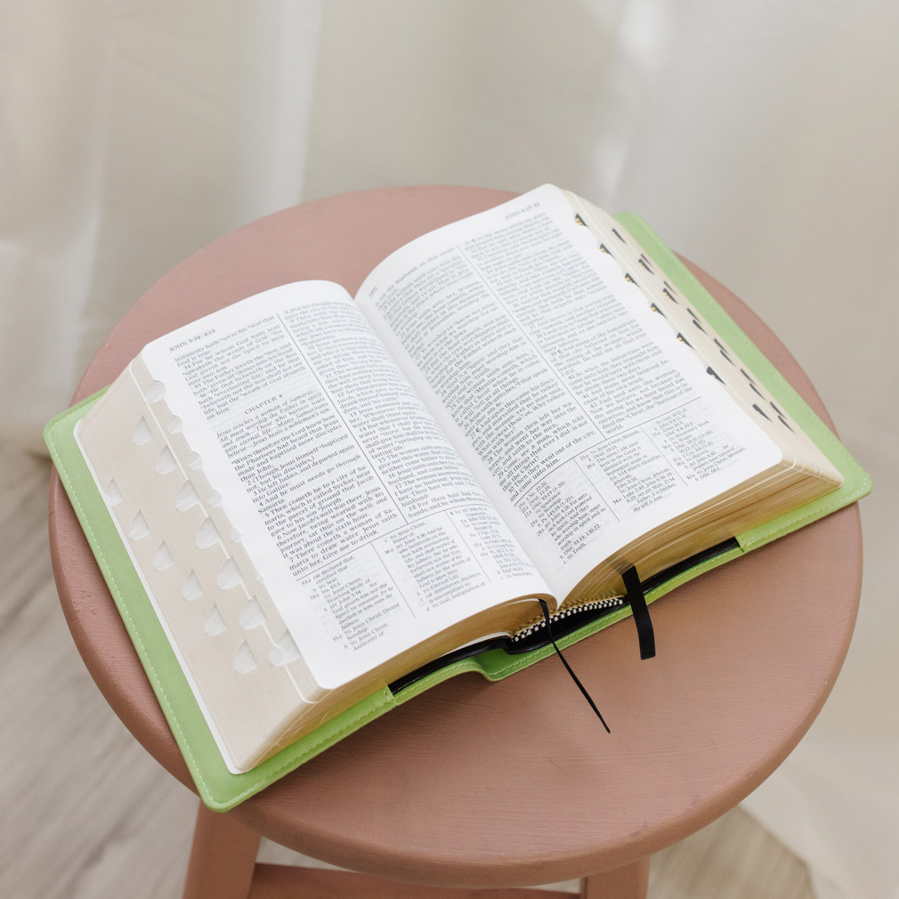 Quad Slip Cover - Light Green - LDP-CV-RQ-LGRN