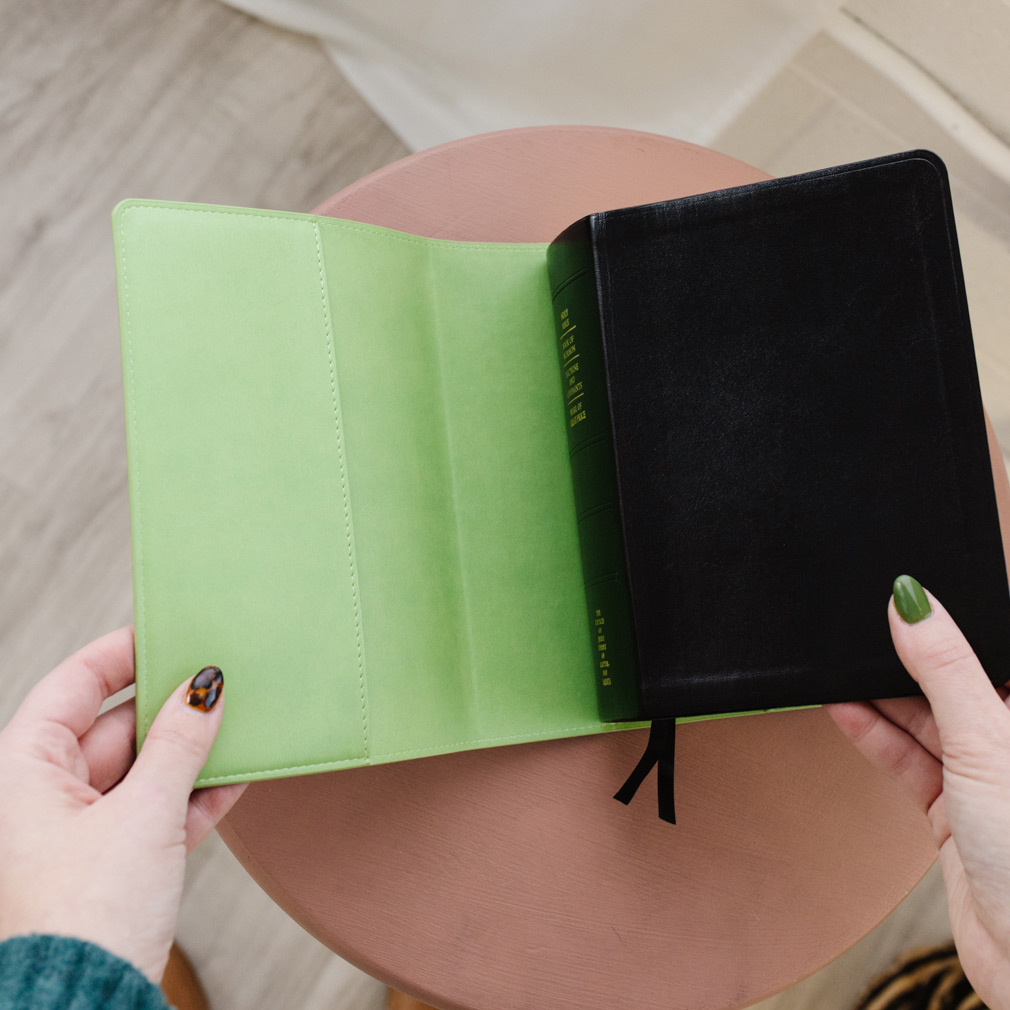 Quad Slip Cover - Light Green - LDP-CV-RQ-LGRN