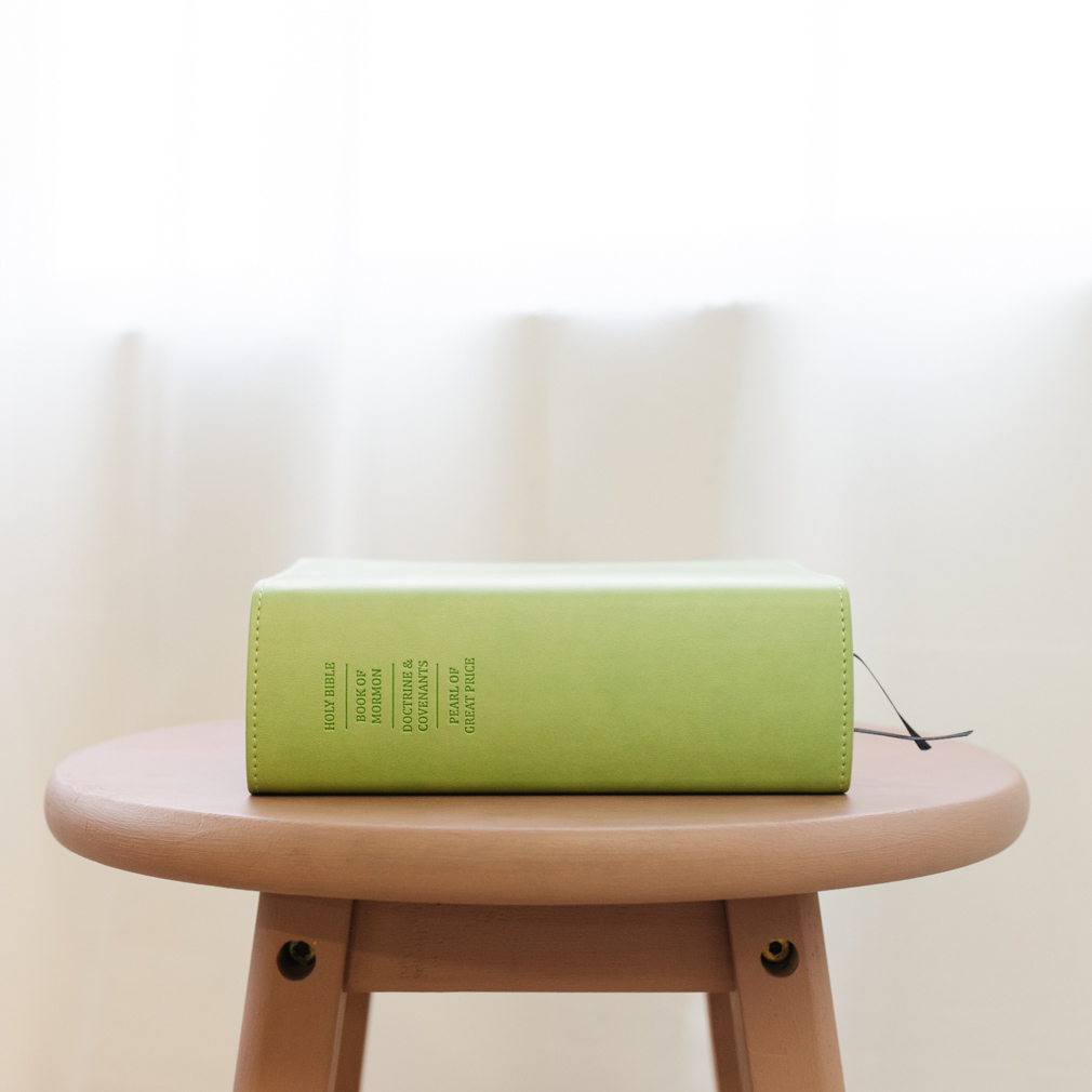 Quad Slip Cover - Light Green - LDP-CV-RQ-LGRN