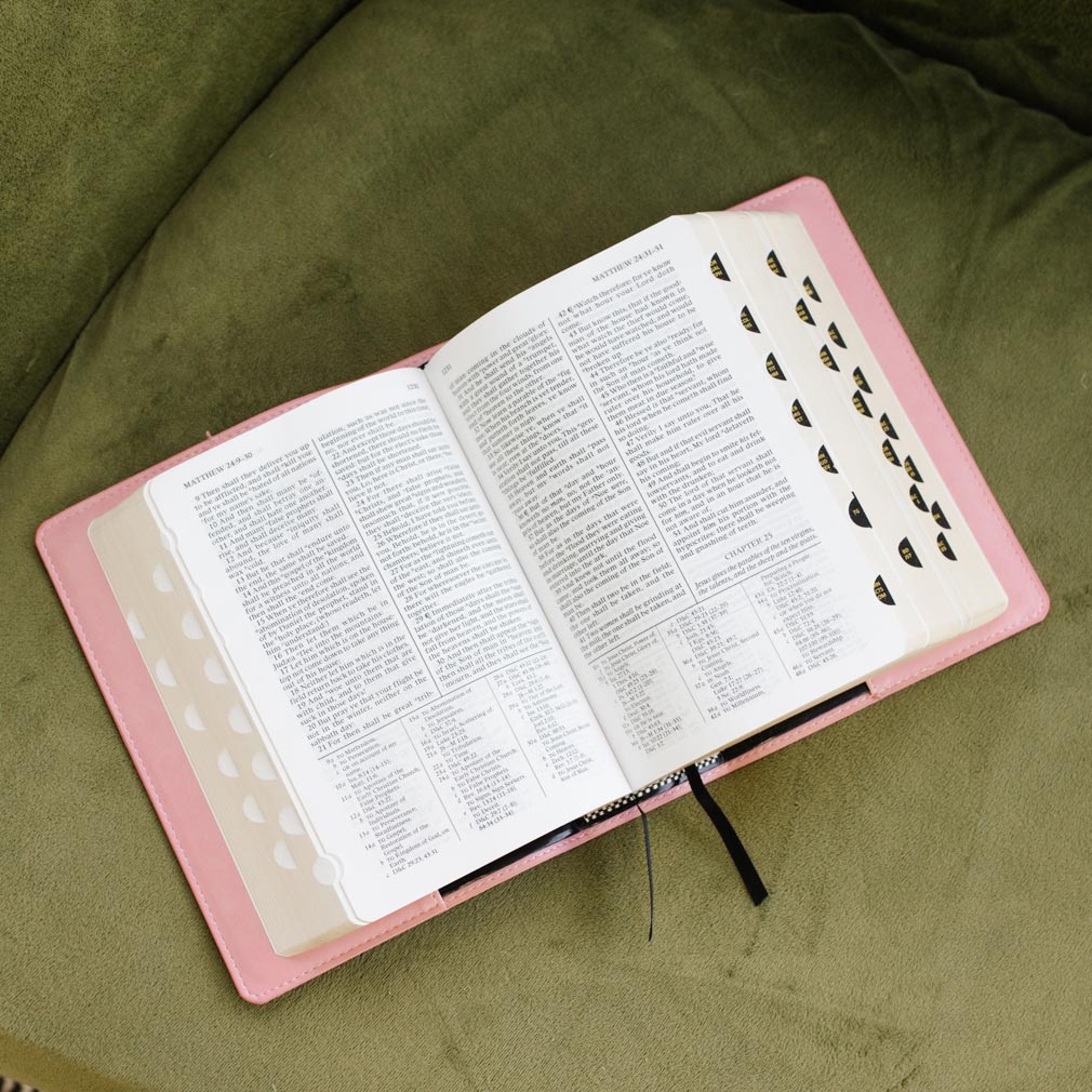 Quad Slip Cover - Pink - LDP-CV-RQ-PNK
