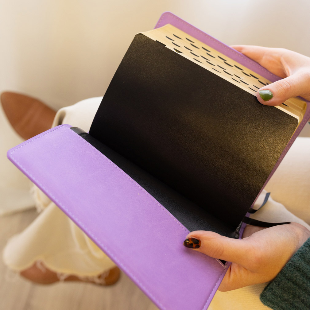 Quad Slip Cover - Purple - LDP-CV-RQ-PRP