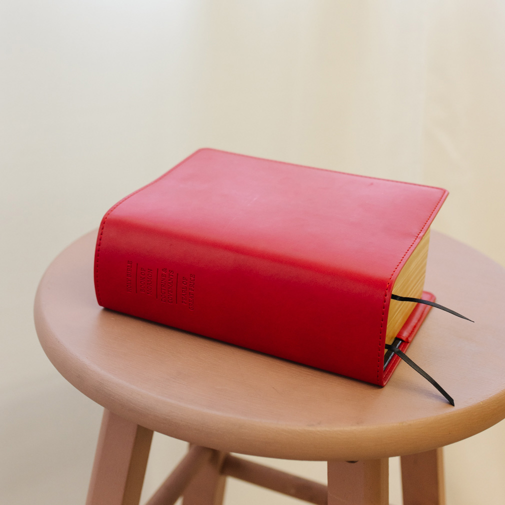 Quad Slip Cover - Red - LDP-CV-RQ-RED