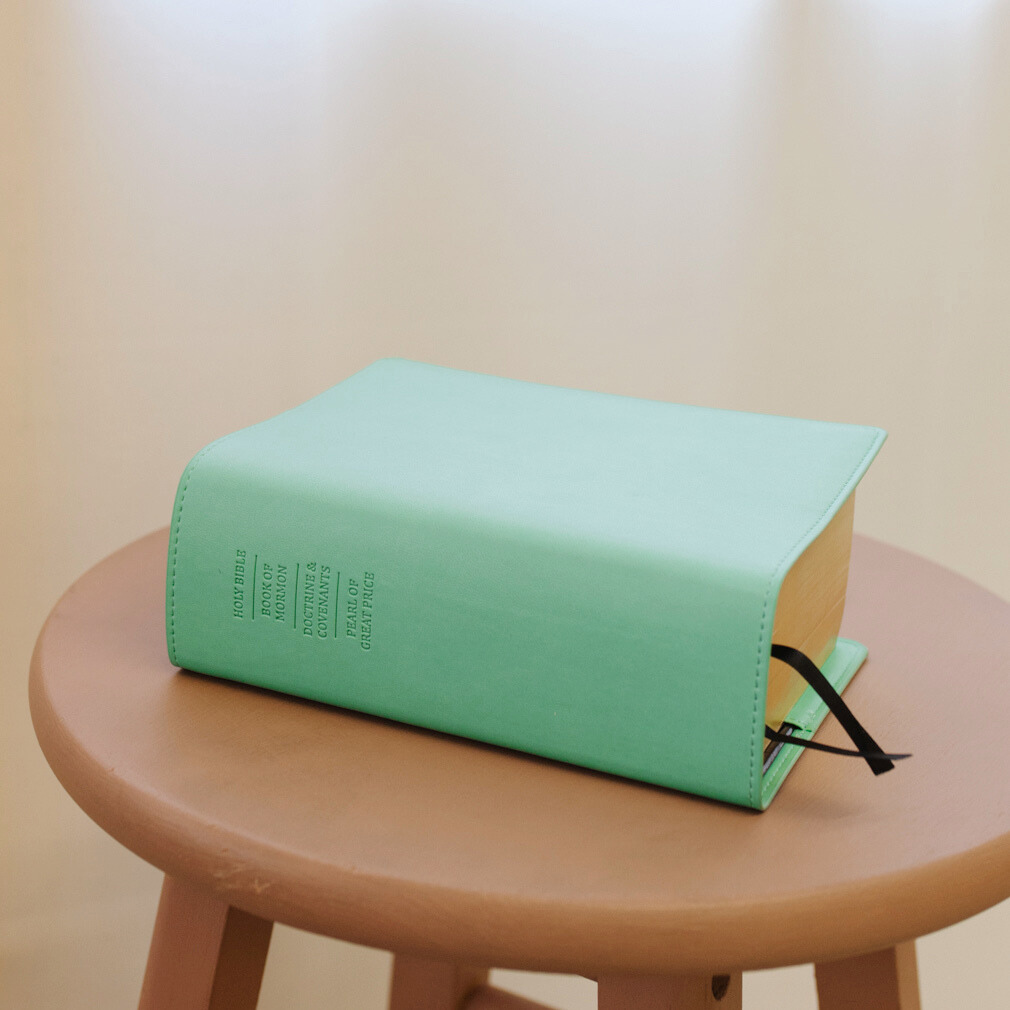 Quad Slip Cover - Turquoise - LDP-CV-RQ-TQ