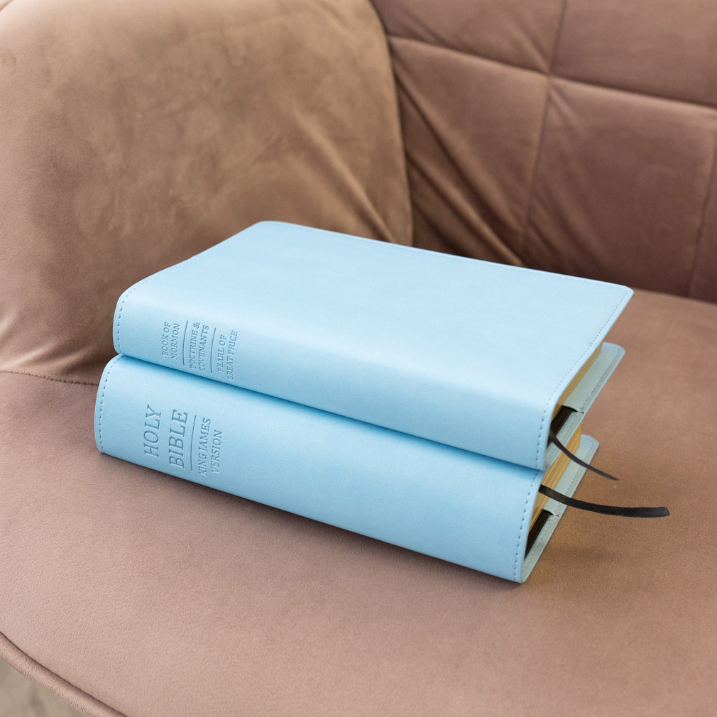 Triple Slip Cover - Light Blue - LDP-CV-RT-LBLU