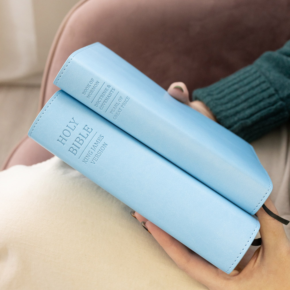 Triple Slip Cover - Light Blue - LDP-CV-RT-LBLU