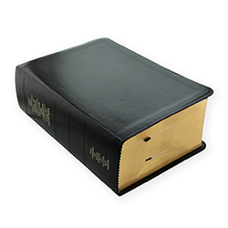 Large Simulated Leather Quad