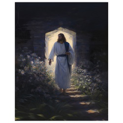 Morning Glory - Framed/Unframed Wall Art