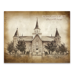 Provo City Center Temple - Vintage 