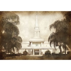 Orlando Temple - Vintage 