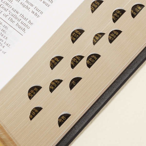 Large Simulated Leather Bible - LDS-BIBLRG-SIM-2013