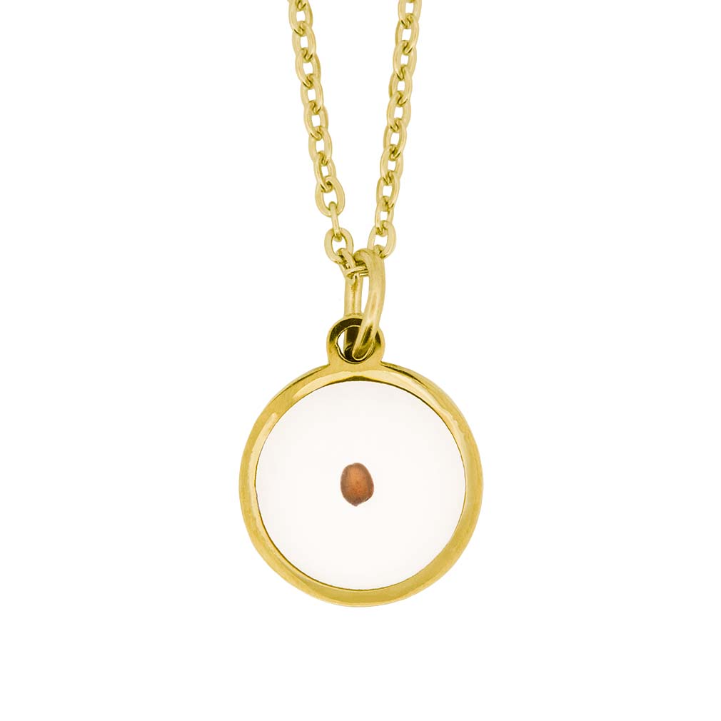 Circle Mustard Seed Necklace