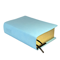 Large Quad Slip Cover - Light Blue
