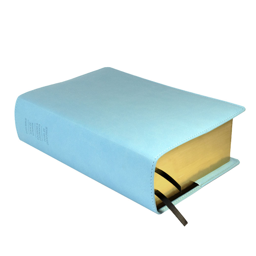 Large Quad Slip Cover - Light Blue - LDP-CV-LQ-LBLU