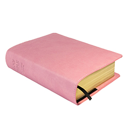 Bible Slip Cover - Pink