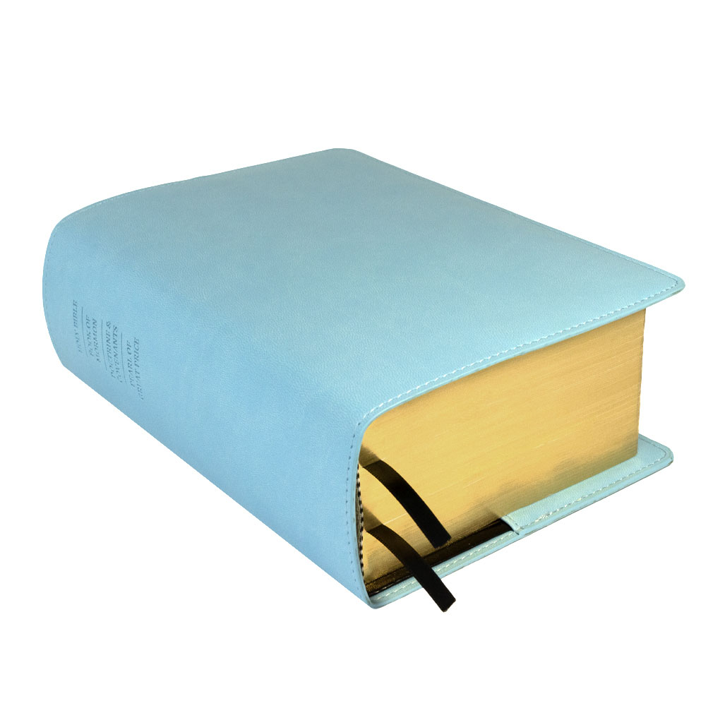 Quad Slip Cover - Light Blue - LDP-CV-RQ-LBLU
