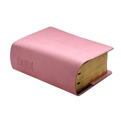 Quad Slip Cover - Pink pink lds scriptures, lds scriptures, pink lds scripture, pink quad, color quad scriptures, pink quad scriptures, scripture cover, lds scripture cover, slip cover, scripture slip cover