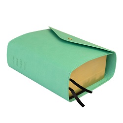 Quad Button Snap Slip Cover - Turquoise button snap, green lds scriptures, lds scriptures, green lds scripture, green quad, color quad scriptures, green quad scriptures, scripture cover, lds scripture cover, slip cover, scripture slip cover