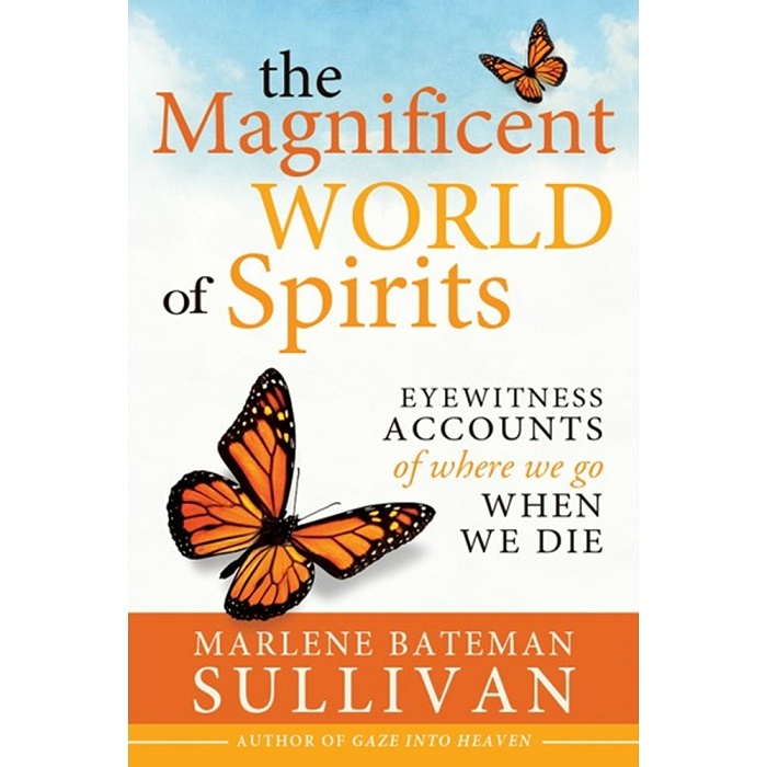 The Magnificent World of Spirits - CF-9781462117789