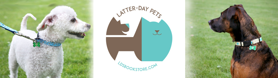 Pet Products